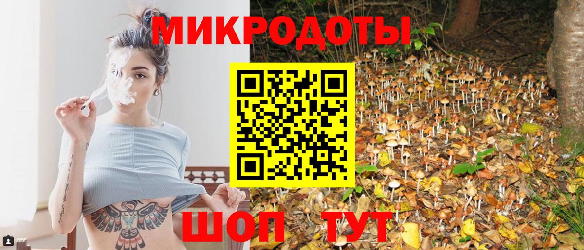 Псилоцибиновые грибы мухоморы Ефремов
