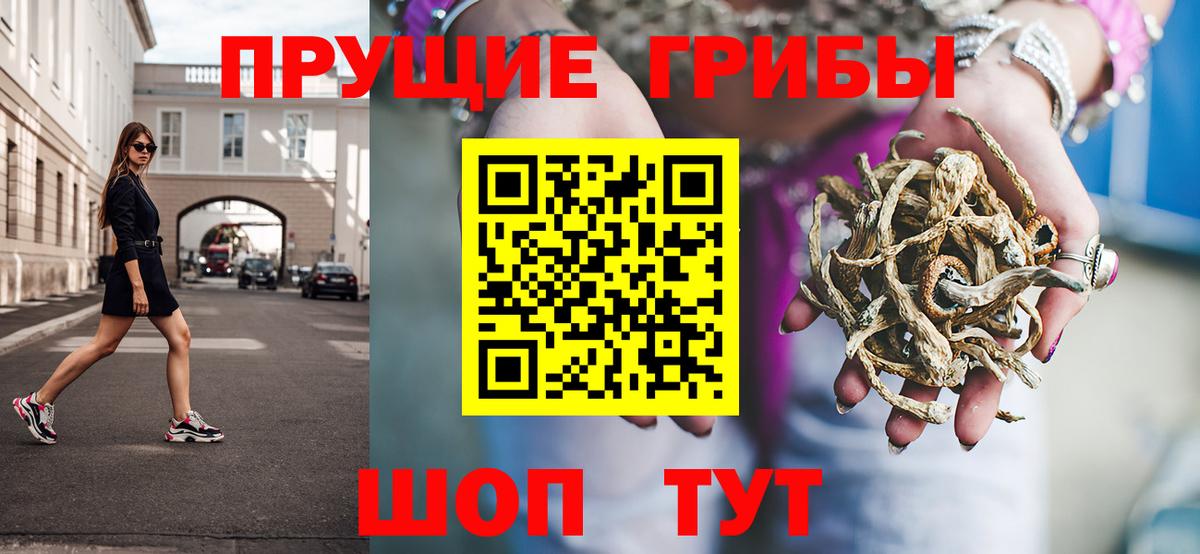 купить закладку  Галлюциногенные грибы GOLDEN TEACHER  Вход с VPN  Галлюциногенные грибы MAGIC MUSHROOMS  Ефремов 